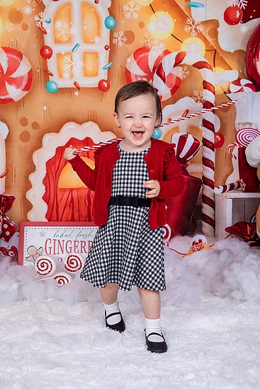 Gingerbread House Mini Session