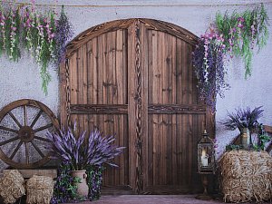 Purple Barn Door.jpg