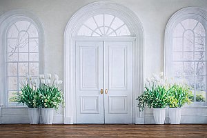 Elegant White Door low.jpg