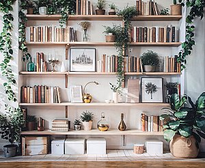 Bookshelf low.jpg