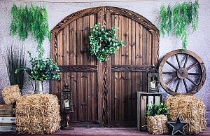 Rural Barn Door low.jpg