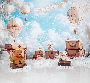 In the Clouds low.jpg